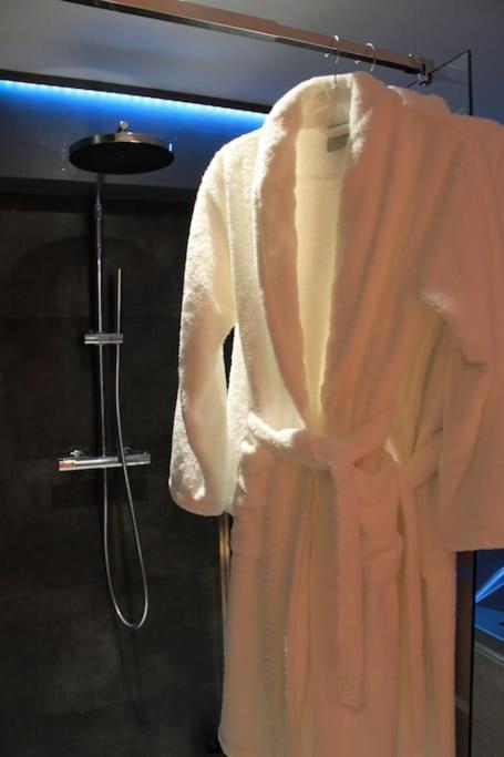 L'Ecrin Duplex Balneo & Sauna トロワ エクステリア 写真